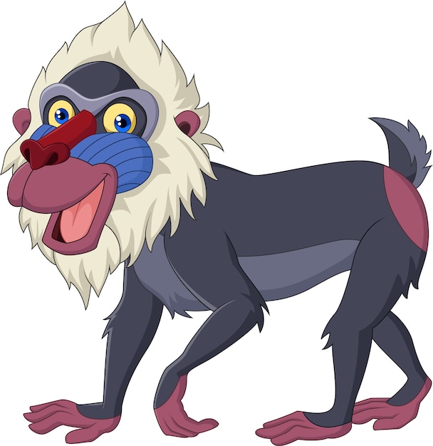 Premium Vector | Cartoon mandrill baboon isolated on white background