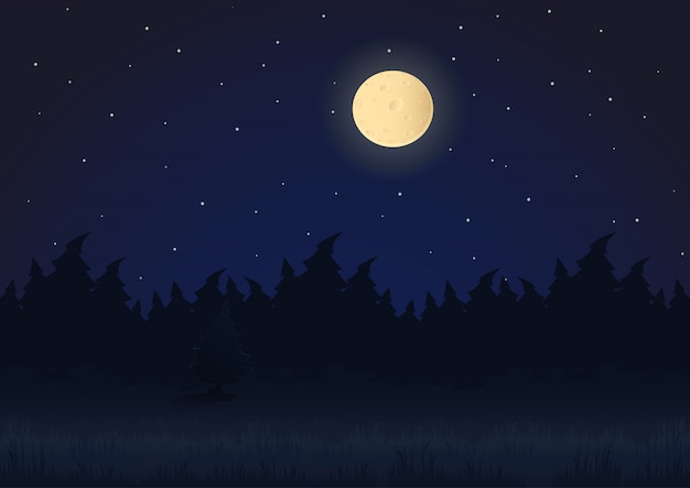 Night Time Cartoon Images