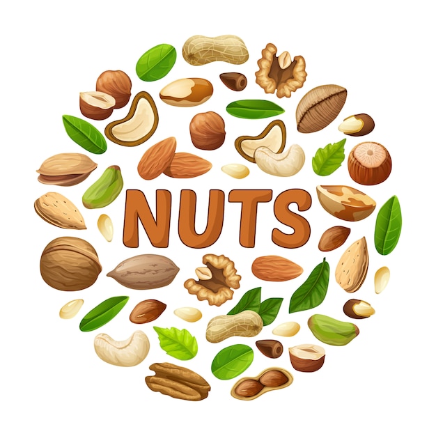 Free Vector | Cartoon nuts round concept