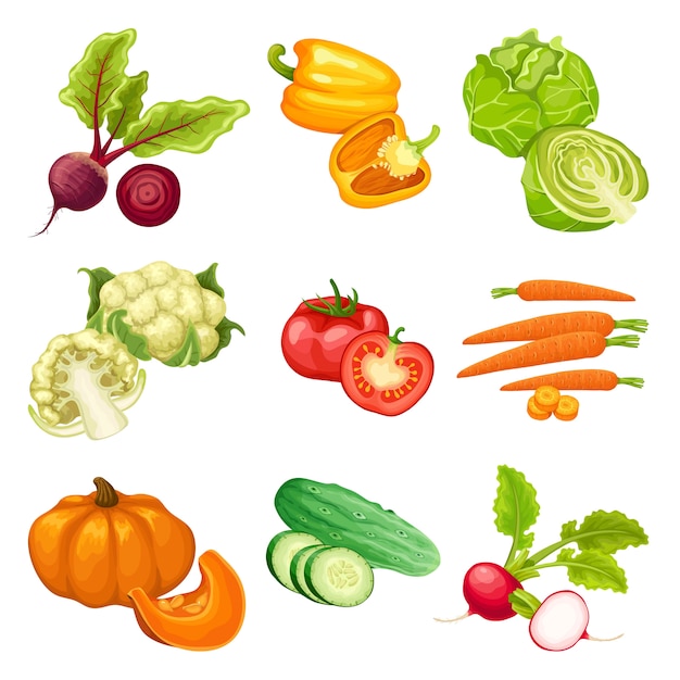 Download Free Vector | Cartoon organic vegetables set