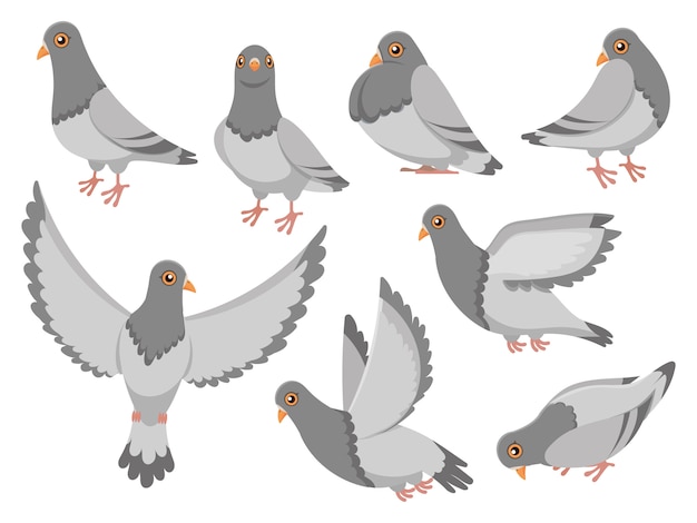 Cartoon pigeon. city dove bird, flying pigeons and town birds doves isolated  illustration set Premi