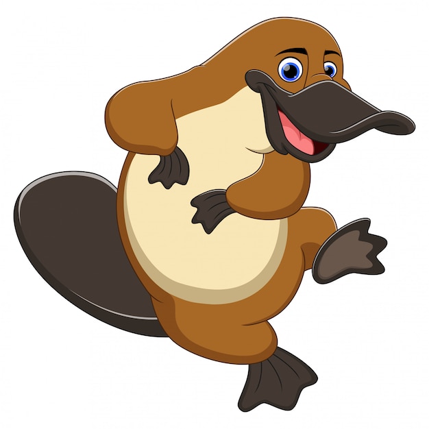 platypus cartoon network