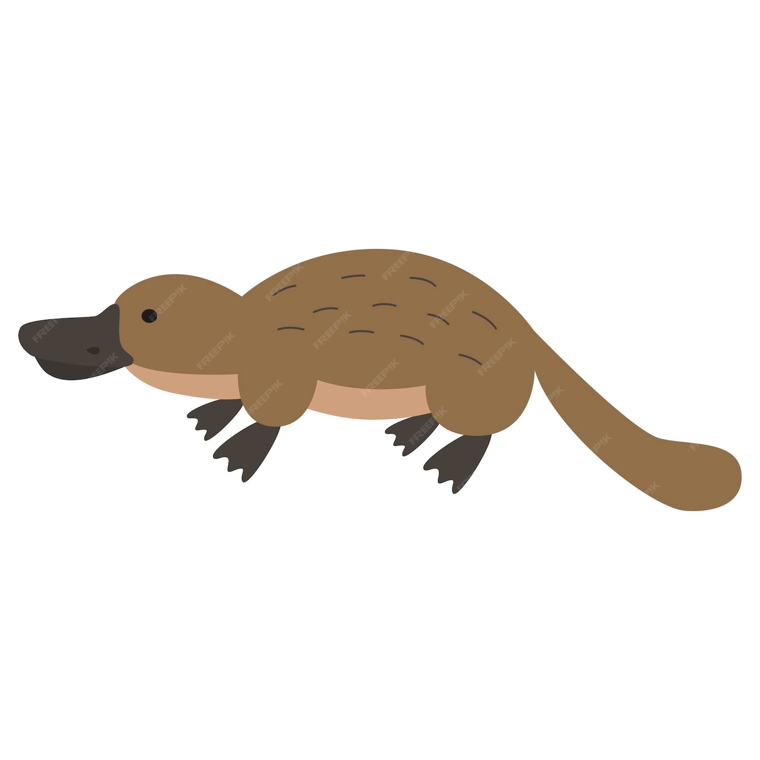 premium-vector-cartoon-platypus