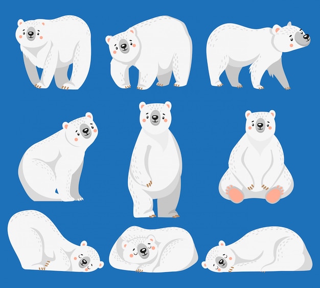 漫画のシロクマ シロクマ 北極の野生動物 雪のクマのイラスト プレミアムベクター