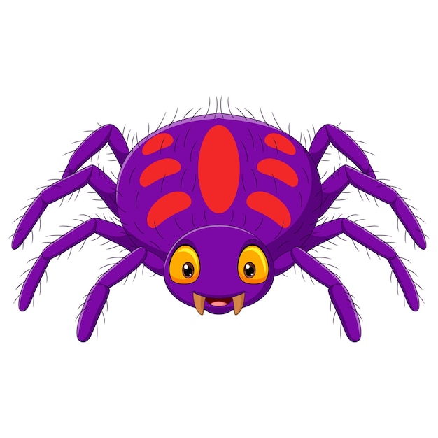 Premium Vector | Cartoon purple spider on white background