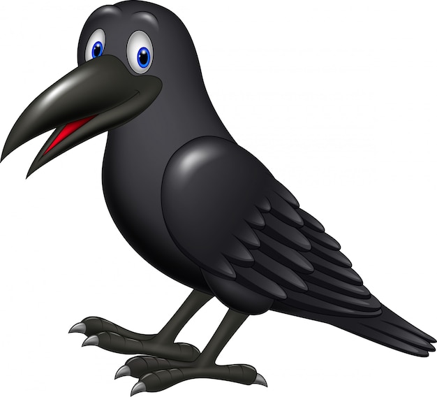 Cartoon raven isolated on white background Vector | Premium Download