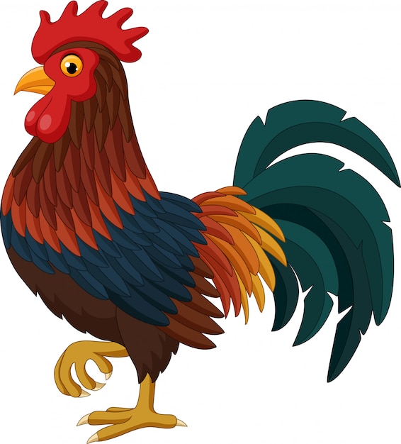 sheenaowens-cartoon-rooster