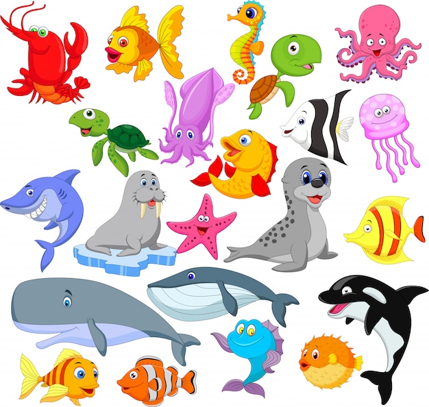 Premium Vector | Cartoon sea life collection set