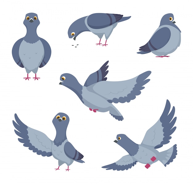 Premium Vector | Cartoon Set Of Funny Pigeons. Illustrations Of Birds