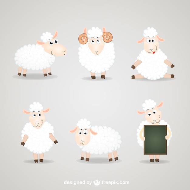 Cartoon sheep collection
