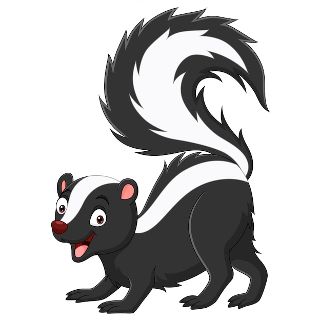 Premium Vector | Cartoon skunk isolated on white background