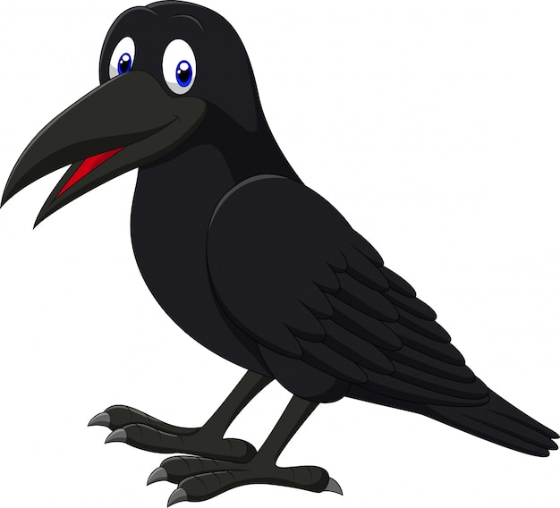 Cartoon smiling raven Premium Vector