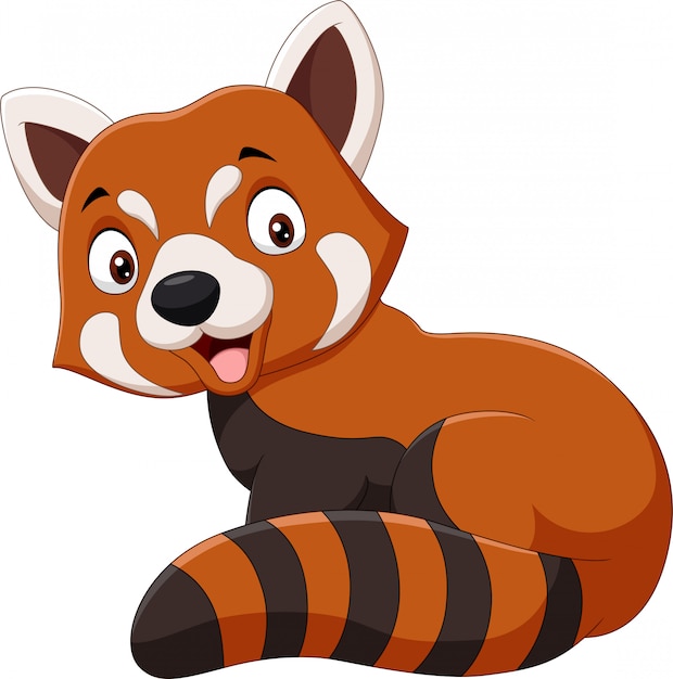 Premium Vector | Cartoon smiling red panda on white background