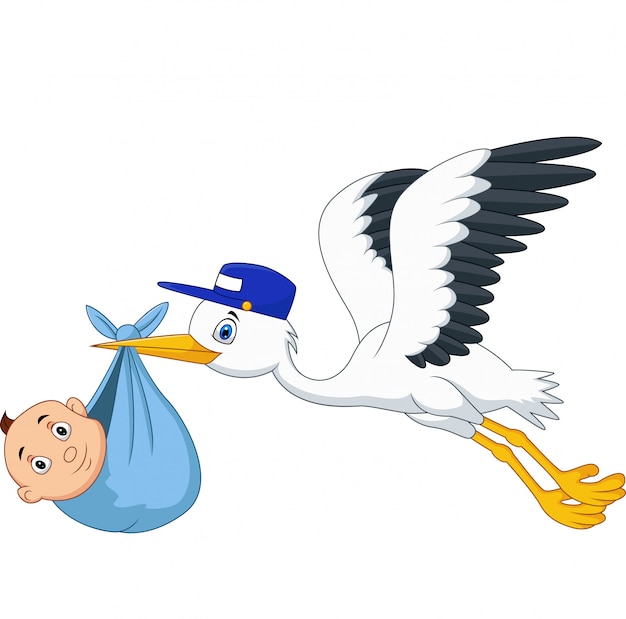 Premium Vector | Cartoon stork flying bird carrying a newborn