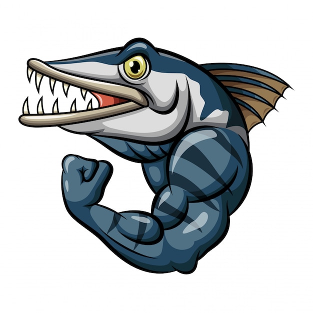 Download Cartoon strong angry barracuda fish mascot | Premium Vector