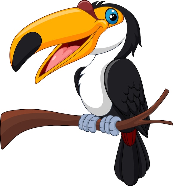 Toucan Bird Cartoon Cute toucan bird cartoon royalty free vector image