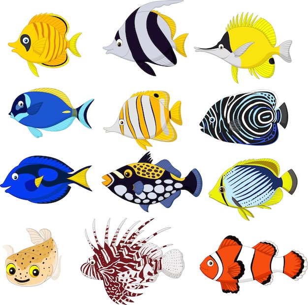 Premium Vector | Cartoon tropical fish collection set