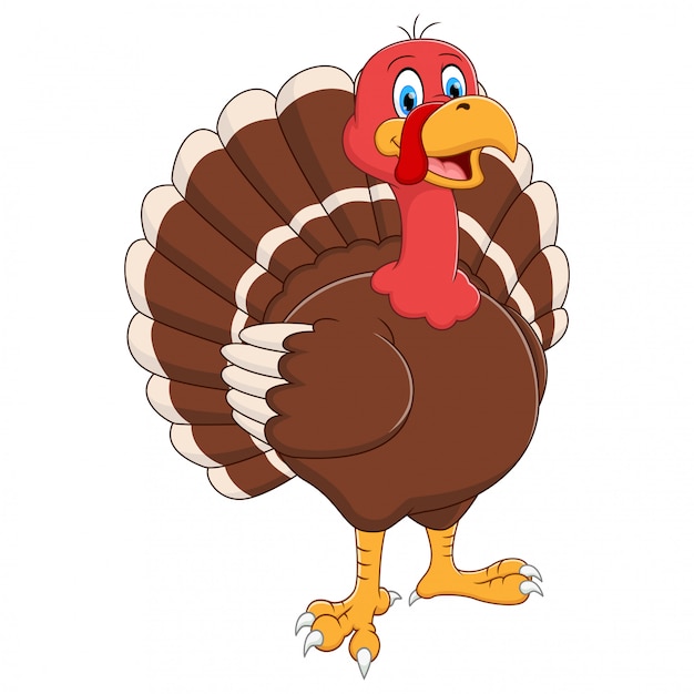 Premium Vector | Cartoon turkey standing on white