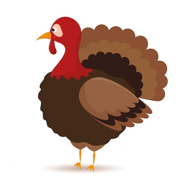 Cartoon turkey | Free Vector