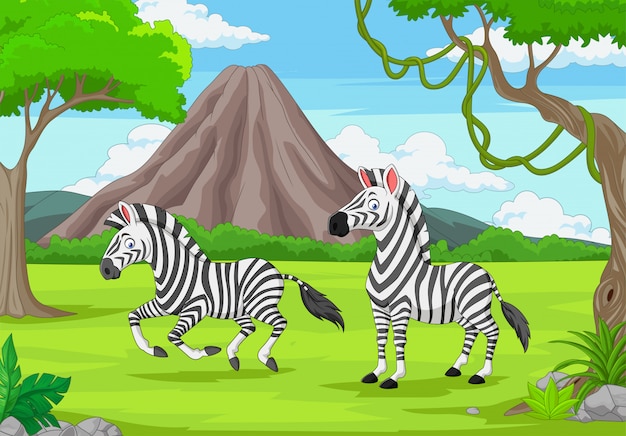 africa zebra clipart