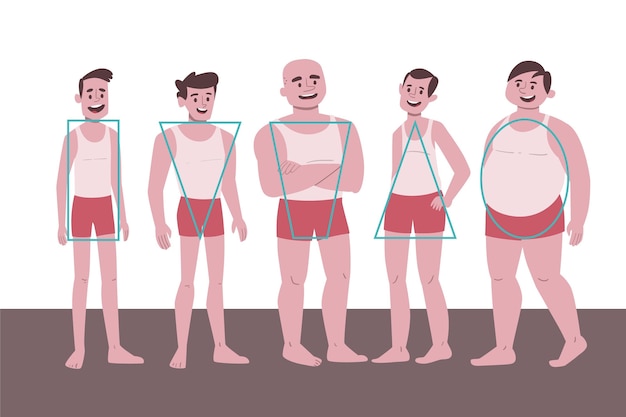 Free Vector Cartoon Types Of Male Body Shapes Set