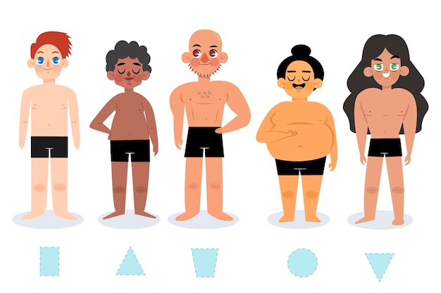 Cartoon Male Body Types