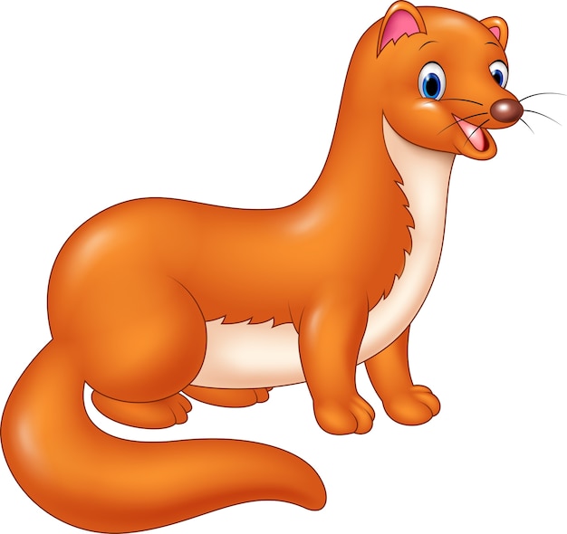 Premium Vector | Cartoon vector illustration of cute weasel animal