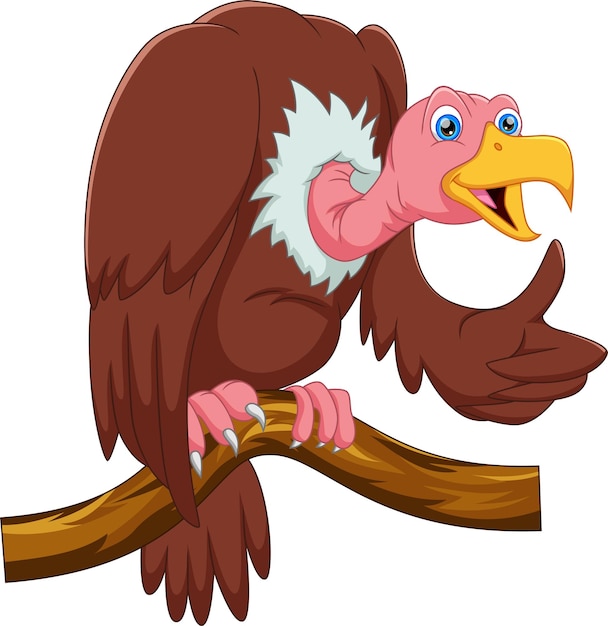 Premium Vector | Cartoon vulture on tree thumbs up