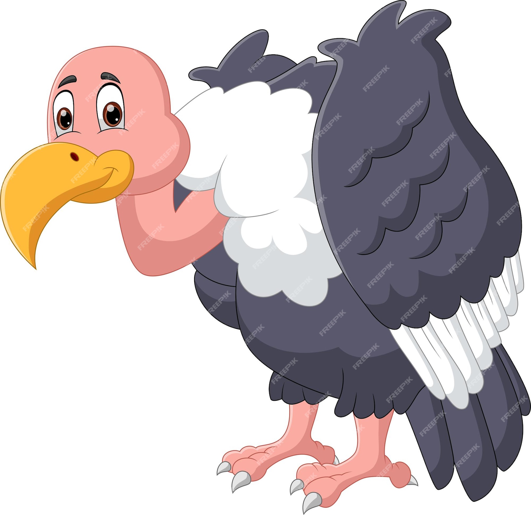 Premium Vector | Cartoon vulture