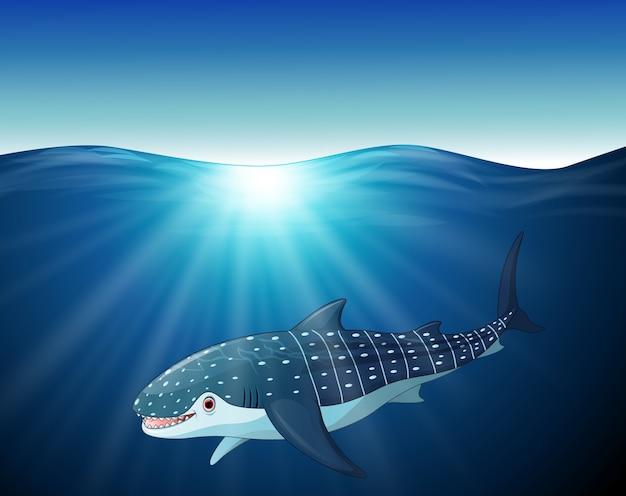 Free Free 167 Whale Shark Svg SVG PNG EPS DXF File