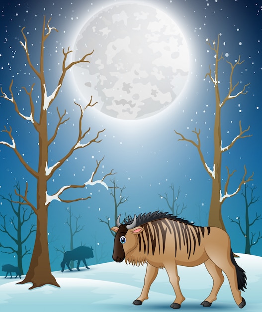 Download Cartoon wildebeest on the winter forest | Premium Vector