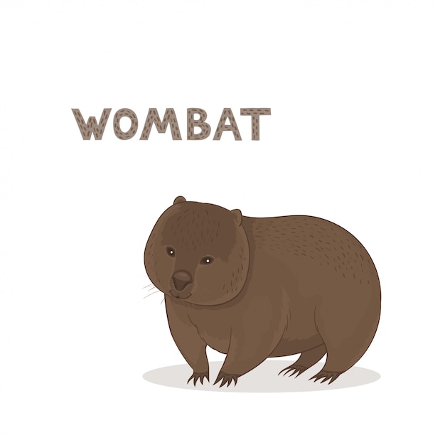 Premium Vector | Cartoon wombat isolated on a white background