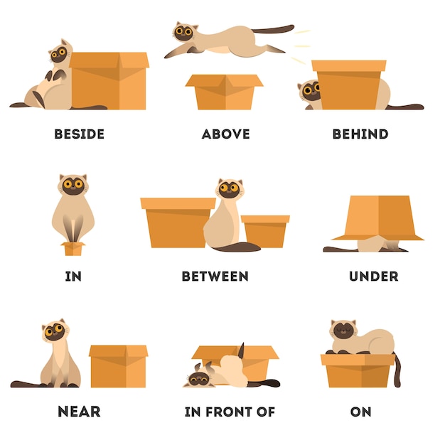 猫と箱のセット 前置詞の概念を学ぶ 上記の動物 プレミアムベクター