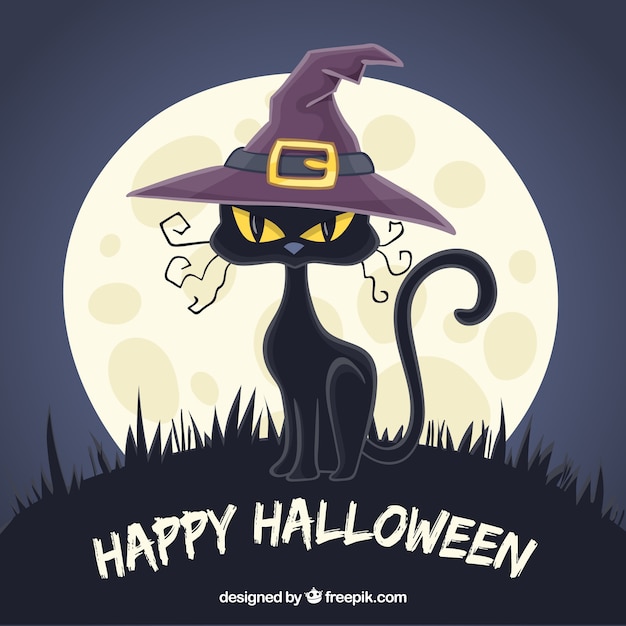Cat background with witch hat and moon