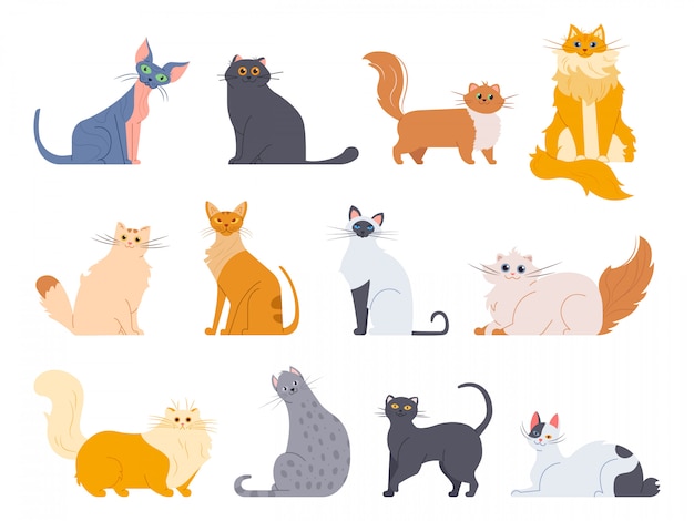 猫の品種 かわいいふわふわ猫 メインクーン ボブテイル シャム猫 面白いスフィンクス猫 血統の品種ペットイラストアイコンセット ドローイングパック プレミアムベクター