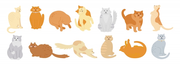 猫キャラクターコレクション かわいいフラット漫画デザインセット 別の子猫の品種 ペットのキャラクター 面白い猫が座って寝ています 異なる色 縞模様の斑点 手描きの孤立した図 プレミアムベクター