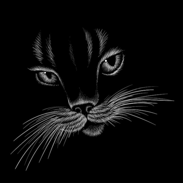 Premium Vector | Cat head in had drawn style