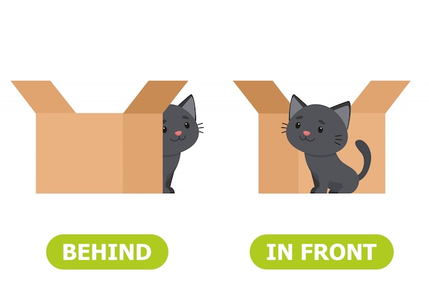 Premium Vector | Cat is standing in front of the box and behind the box