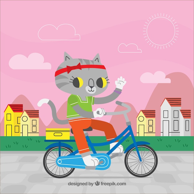 Cat on a bicycle background