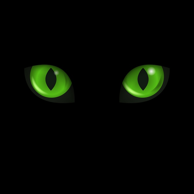 Premium Vector | Cat's eyes. black cat.