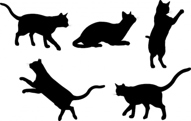 Free Vector | Cats