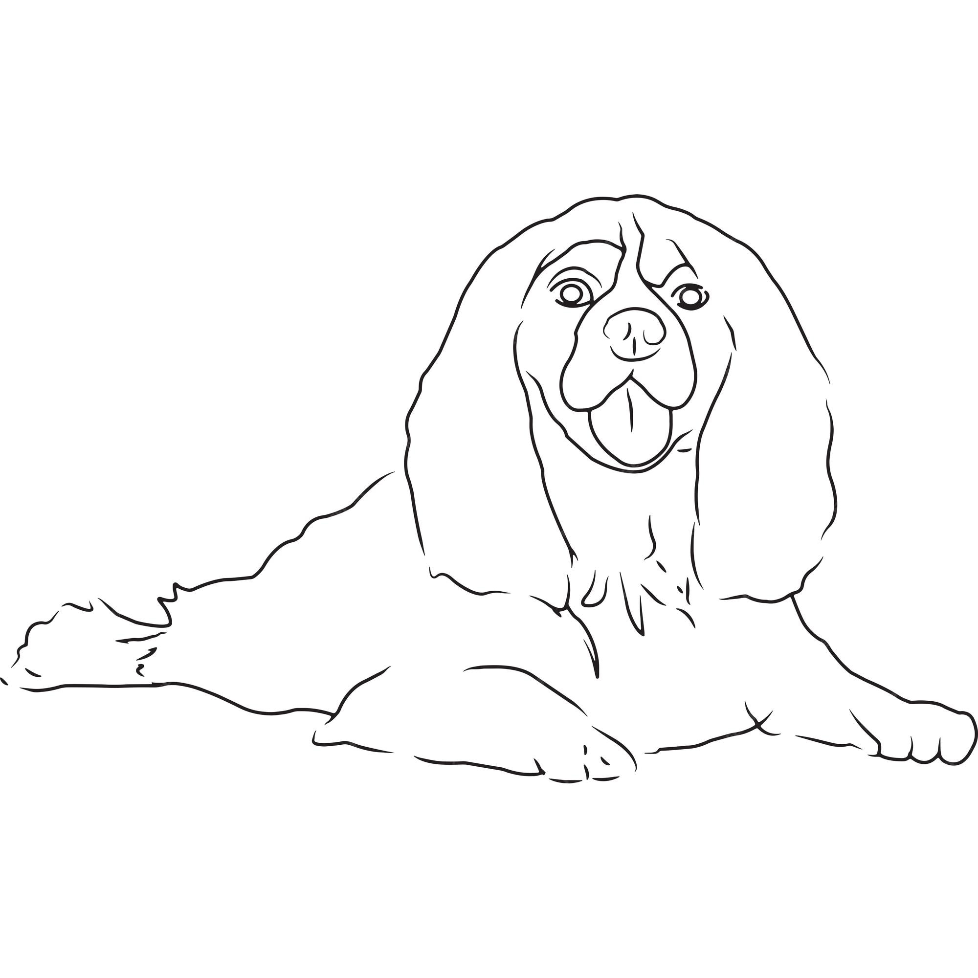 Premium Vector Cavalier king charles spaniel dog hand sketched vector