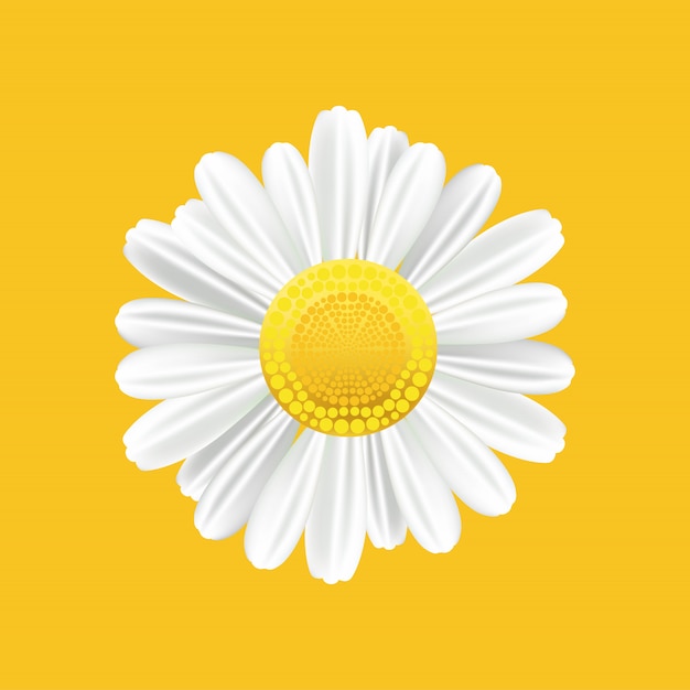 Download Free Chamomile Realistic Symbol Yellow Background With Isolated Use our free logo maker to create a logo and build your brand. Put your logo on business cards, promotional products, or your website for brand visibility.