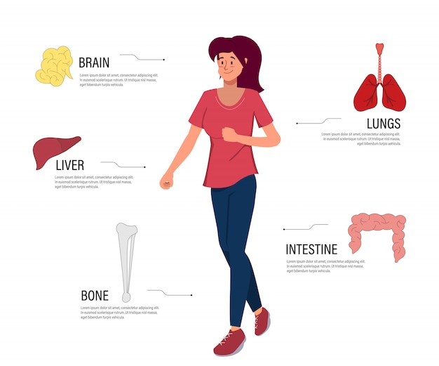 woman body anatomy drawing