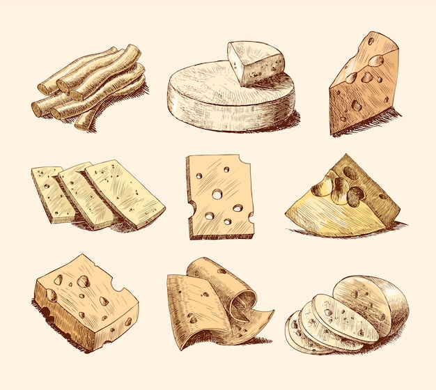 Free Vector Cheese sketch illustration collection
