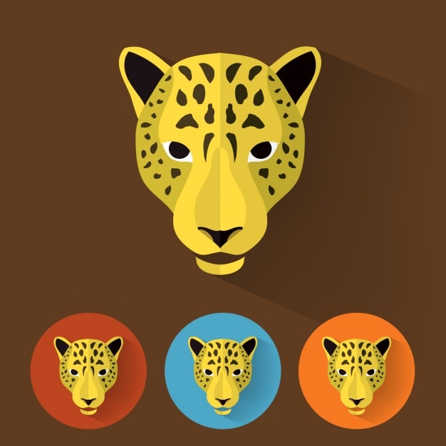 Cheetah designs collection