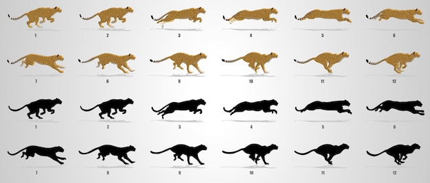  Cheetah run cycle animation sequence Premium Vector