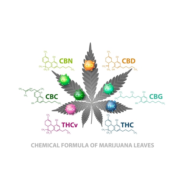 Premium Vector | Chemical Formulas Of Natural Cannabinoids. Leaf Of ...