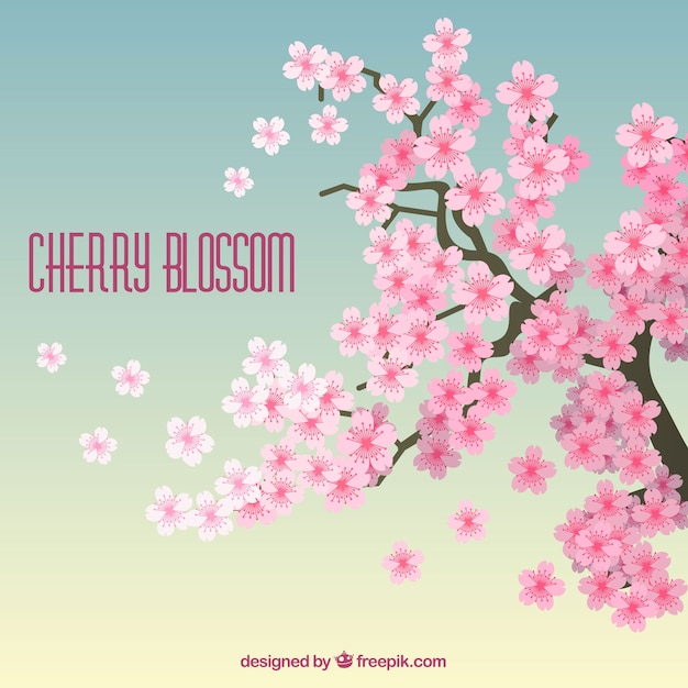 Cherry blossom background in flat style Vector | Free Download