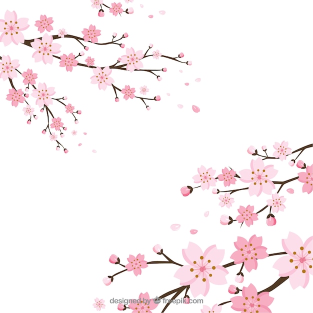 Cherry blossom background in flat style | Free Vector